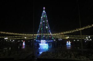 Главную новогоднюю елку Бердянска открыли на площади Единства (ФОТО)
