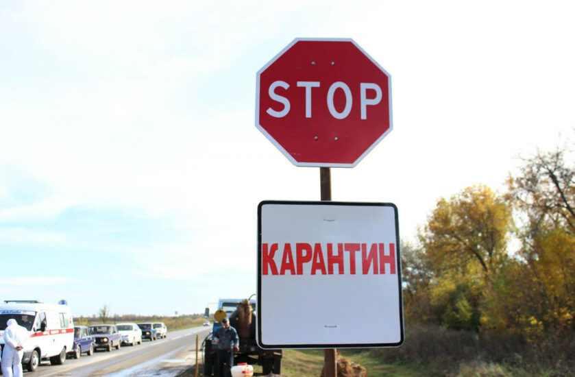 В Запорожской области ввели карантин из-за насекомого