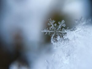 На Хортиці відкрили Новорічно-різдвяний фестиваль 