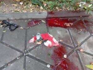 В оккупированном Мелитополе произошел взрыв: есть пострадавшие