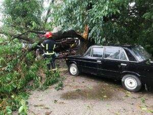 Негода в Запоріжжі: яких руйнувань зазнало місто, транспортні мережі і що вже відновили комунальники