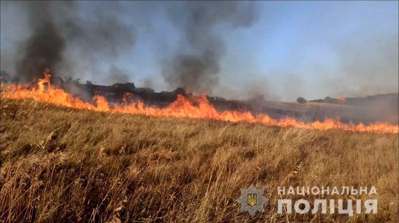 Российские войска обстреляли поля в Степногорске