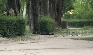 Погиб мужчина: последствия обстрела Энергодара оккупантами