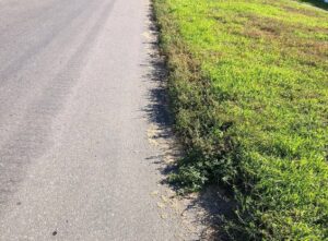Оккупанты крадут зерно из Бердянска: вывозят фурами