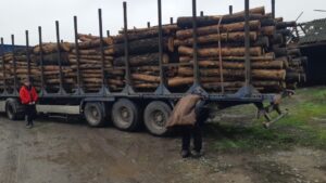 Запорожская область бесплатно получит дрова