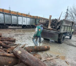 Дрова на отопление: громаде в Запорожской области поставили древесину для обогрева. ФОТО