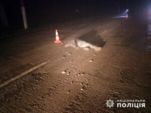 ДТП с погибшим в Запорожской области: полиция ищет виновного
