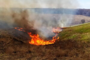 Запоріжців знов попереджають про надзвичайну пожежну небезпеку