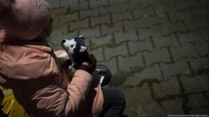 Детей в Бердянске россияне забирают “на подвалы” и эксплуатируют