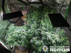 Правоохранители изъяли в Запорожье наркотиков на 37 миллионов гривен. ФОТО