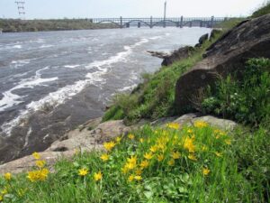 Якість води у Запоріжжі може змінитись: у чому причина