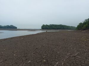 В экоинспекции Южного округа заявили об отсутствии мора рыбы в Запорожье