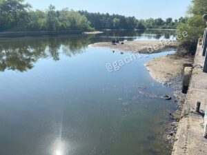 Водный канал в Энергодаре может полностью обмелеть. ФОТО