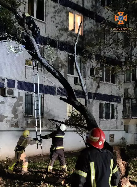 Дерево впало на житловий будинок у Запоріжжі