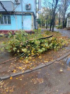 Попадали дерева: наслідки негоди в Запоріжжі (ФОТО)