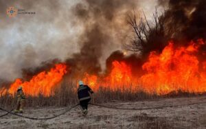 Запоріжців попереджають про пожежну небезпеку: як діяти 