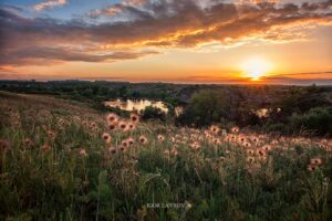 В Государственный реестр внесли девять памятников на Хортице: перечень