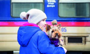 Безкоштовні подорожі потягами: Запоріжжя серед найпопулярніших маршрутів