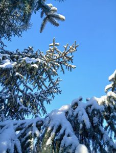 В Запорожье потеплеет: прогноз погоды на неделю