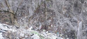 Поблизу гаражного кооперативу в Запоріжжі знайшли сміттєзвалище: де саме