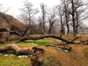 Підсумки дня у Запорізькій області