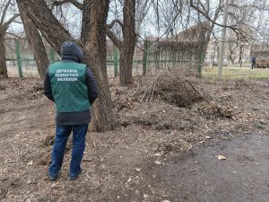 У Запоріжжі виявили звалище рослинних відходів: де саме