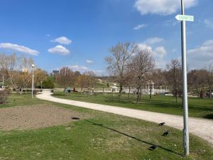 Які зміни у парках хочуть бачити запоріжці: результати опитування