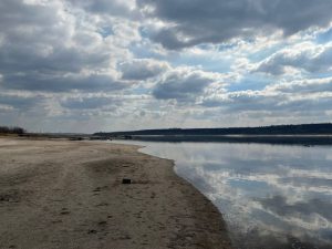 Чи зафіксували мор риби на Центральному пляжі Запоріжжя: офіційний коментар
