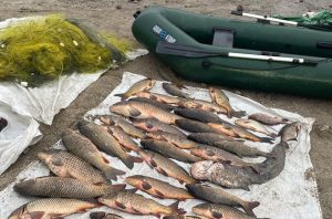 Наловил рыбы на 130 тысяч гривен: в Кушугуме оштрафовали мужчину