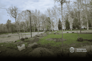 У запорізькому парку висадили понад 200 дерев і кущів: де саме