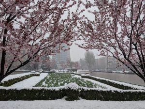 Засніжило у квітні: як виглядало Запоріжжя сьогодні вранці (ФОТО)
