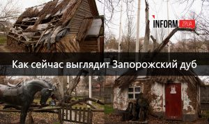Как выглядит историко-культурный комплекс «Запорожский дуб» в 2025 году (ФОТОРЕПОРТАЖ)