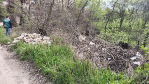 У Запоріжжі виявили нове сміттєзвалище: міськраду зобов’язали ліквідувати відходи