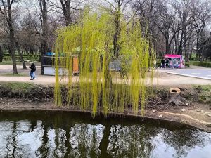 Пруды в «Дубовке» Запорожья наполнили водой (ФОТО)