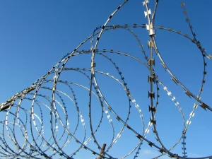 Закупили на третину дорожче: Запорізька ОДА придбала “Єгозу” для фортифікацій