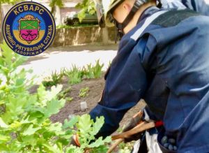Подкралась незаметно: в Запорожье змея заползла на школьный двор