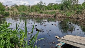 В Запорожье неизвестные загрязнили Мокрую Московку: комментарий эколога (ФОТО, ВИДЕО)