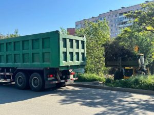 Запоріжжя очищують від багаторічного сміттєзвалища: понад 70 тонн вивезено