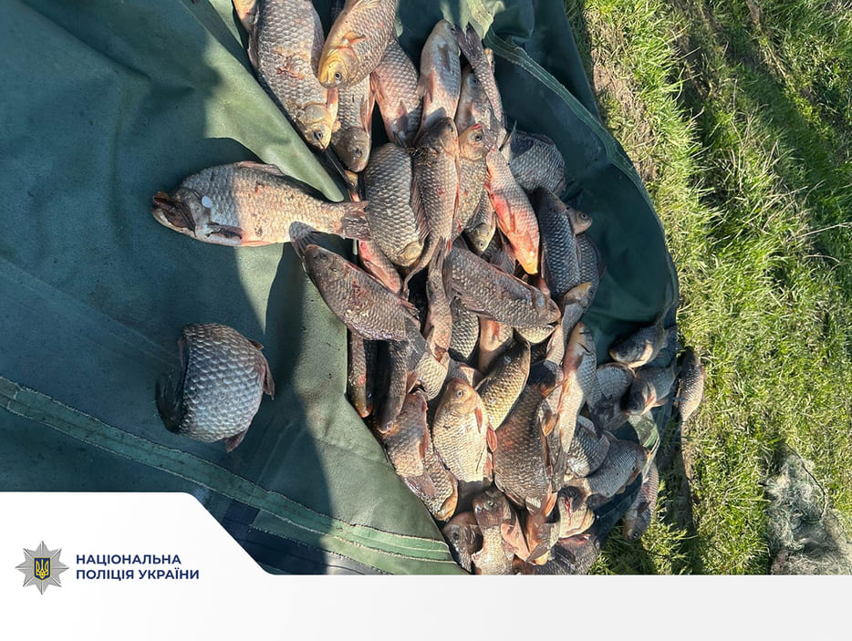 У Запоріжжі затримали браконьєра, який завдав збитків на понад 118 тисяч гривень