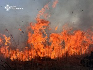 У Запоріжжі дрони виявили вогонь у плавнях: пожежу приборкали (ФОТО)