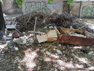 В самом центре Запорожья – кучи мусора: экологи вмешались (ФОТО)
