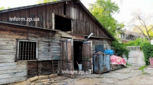 Как выглядит конюшня в «Дубовой роще» в Запорожье (ФОТОРЕПОРТАЖ)