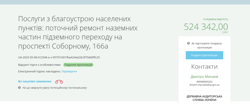 В центре Запорожья планируют обновить подземный переход: что известно
