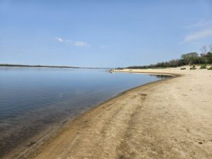 На березі Дніпра у Запоріжжі знайшли дивну речовину: екологи пояснили, що це