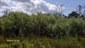 Висихання озер на Хортиці: які ще зміни чекають острів після підриву Каховської ГЕС