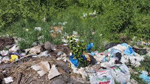 Купи відходів між селами і трасами: на Запоріжжі виявили три сміттєзвалища 