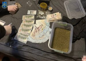Вирощував наркотики на дачі: запоріжця засудили до 9 років тюрми