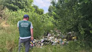 Купи сміття посеред міста: у Запоріжжі зафіксували стихійне звалище