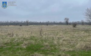 На Запоріжжі незаконно передали в оренду понад 70 гектарів землі