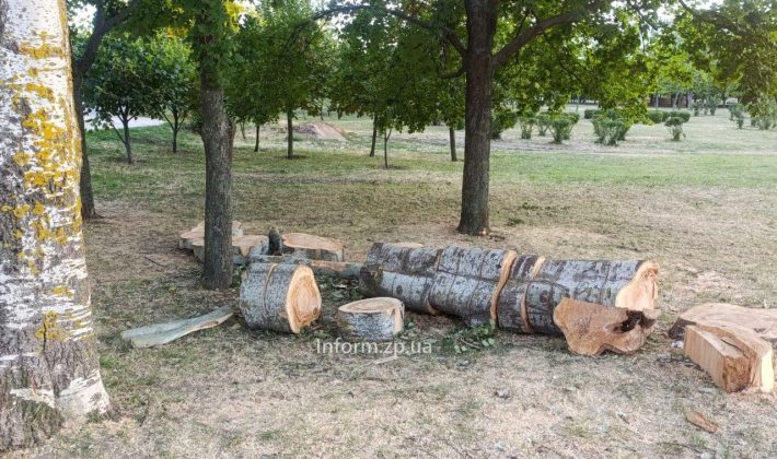В Хортицком районе Запорожья появятся инклюзивные площадки: что уже сделали (ФОТО)
